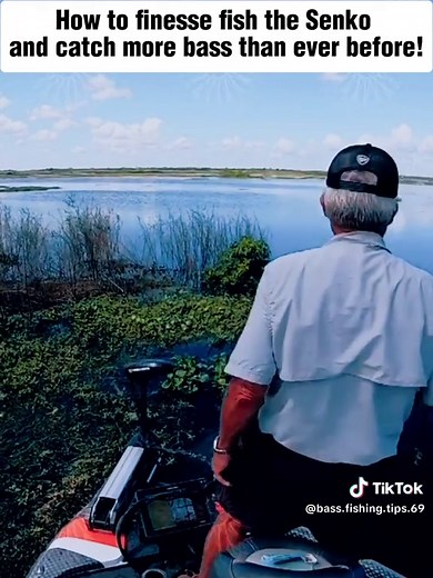 Mastering Senko Techniques for Bass Fishing Success