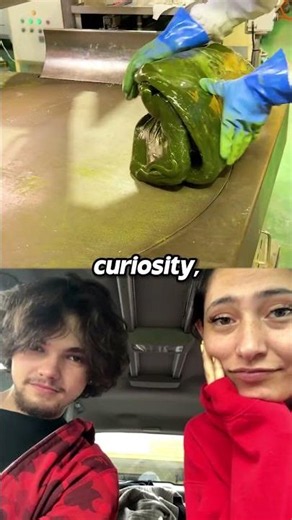 Dantes Got The WORST Possible Ending.. 🤣 #dantes #ometv #omegle