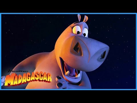 Melman Is Set a Light?! 🔥😯 | DreamWorks Madagascar