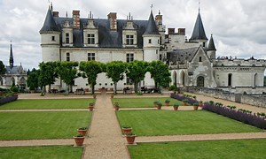 Le château d'Amboise