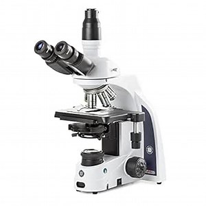 iScope trinocular Microscope with EWF 10x/22mm eyepieces, Plan Phase PLPHI 10/20/S40/S100x Oil iOS objectives, Zernike Phase Contrast disc Condenser darkfield Stop, rackless Stage, Globe | Euromex