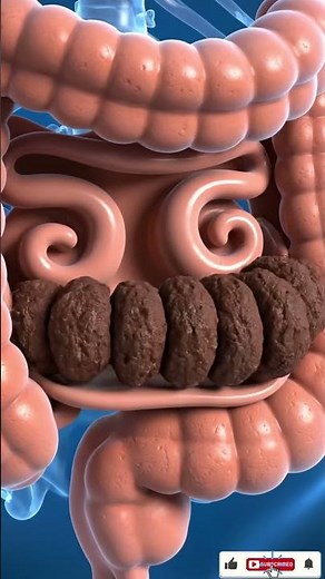 Watch How Poop Moves Inside Your Body 😳 | 3D Digestive System Animation#DigestiveSystem #3DAnimation