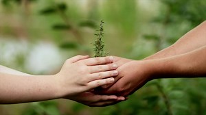 See our commercial featuring Eric Clapton's iconic song called Change the World