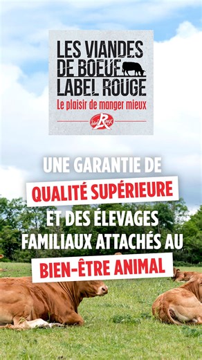 🌿 𝐋𝐞 𝐛𝐢𝐞𝐧-𝐞̂𝐭𝐫𝐞 𝐚𝐧𝐢𝐦𝐚𝐥 𝐚𝐮 𝐜œ𝐮𝐫 𝐝𝐞 𝐧𝐨𝐬 𝐞́𝐥𝐞𝐯𝐚𝐠𝐞𝐬 𝐂𝐡𝐚𝐫𝐨𝐥𝐚𝐢𝐬 𝐋𝐚𝐛𝐞𝐥 𝐑𝐨𝐮𝐠𝐞. 🐄 Les vaches charolaises pâturent 𝐚𝐮 𝐦𝐢𝐧𝐢𝐦𝐮𝐦 𝟔 𝐦𝐨𝐢𝐬 𝐩𝐚𝐫 𝐚𝐧, se nourrissant d’herbe et vivant au rythme des saisons. 🌱 Une alimentation maîtrisée : 𝐬𝐚𝐧𝐬 𝐎𝐆𝐌, 𝐞𝐭 𝐚̀ 𝟖𝟎 % 𝐩𝐫𝐨𝐝𝐮𝐢𝐭𝐞 𝐬𝐮𝐫 𝐥𝐚 𝐟𝐞𝐫𝐦𝐞, à base d’herbe et de fourrages. 🏡 Des animaux protégés : abris, vigilance quotidienne et contrôles garantissent des conditions d’éle