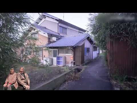 観光地ではない、リアルな日本の農村。どこにでもある田んぼ、民家、電柱。加工なし、ありのままの風景。