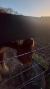 53K views · 7.3K reactions | A little Roman time | From Suits to Boots | Facebook