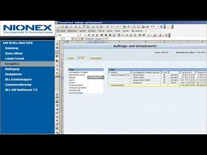 Demovideo BEx Analyzer SAP BI 7.0