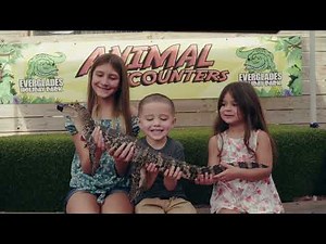 Experience the best Everglades Airboat Tour, Gator Boys Alligator Rescue Show, and Animal Encounters