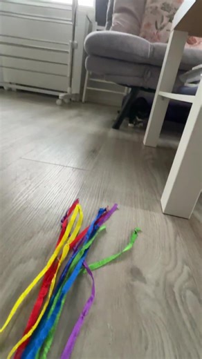 Playing with Yumi ☁️ #kitten #catsoftiktok #yumithecatofficial #fyp #cat