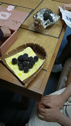 松ぼっくりの炭