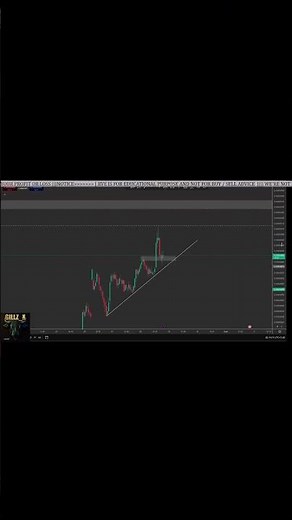 Shiba Inu Buying & Setup