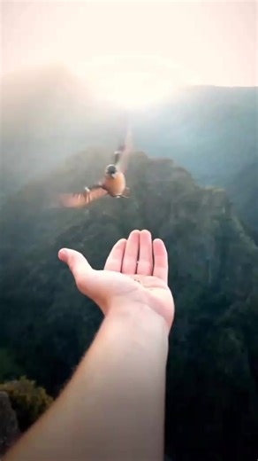 Shakhawat (@shakhawat4809)’s videos with original sound - Salman Habib