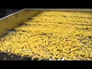 Cheetos Kurkure Extruder production Line Food Extruder Series