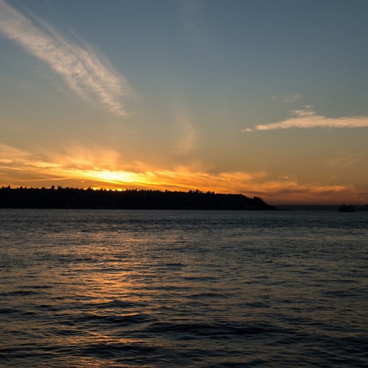 House Cleaning Services in West Seattle – Seatown Cleaners