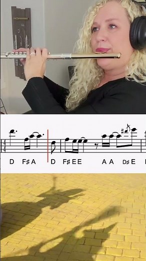 Defying Gravity - Wicked #flutecover