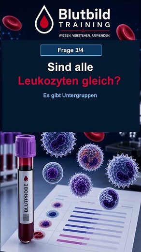 Was sind Leukozyten? Weiße Blutkörperchen erklärt #shorts