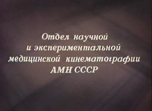 Vascular Microsurgery