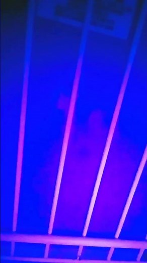 trying the fridge party meme on the freezer (it works)