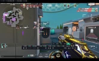 不收徒，收一条飞星乱入