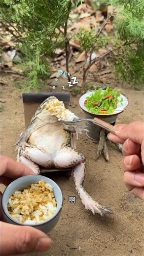 chintoo👦New Gadgets |New ViralGadgets, Smart Appliances, Kitchen Utensils😱🤯#shorts#ytshorts