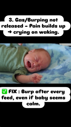 Why Does Your Baby Wake Up Crying After Naps or at Night | ParentoloG by Docs