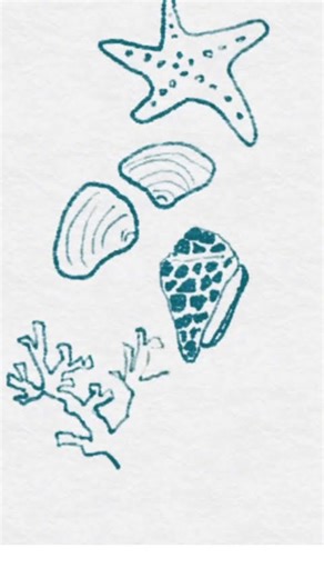 Seashells easy drawing