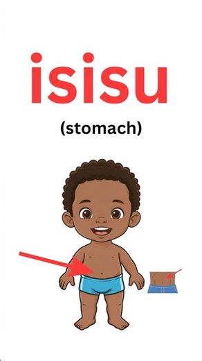 How to say stomach in isiXhosa. #learn #bodyparts #kids #language