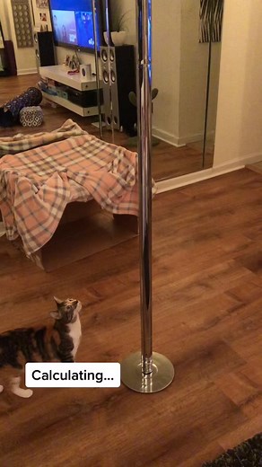Cats Dancing on Jupiter: Cute Kittens Showcase Their Pole Dance Skills