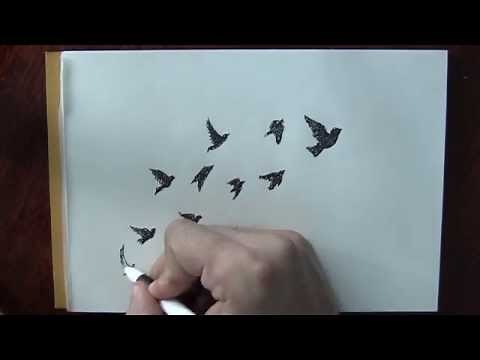 A quick drawing of a doves flock