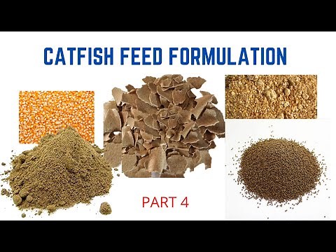 Catfish feed formulation: Feed Your Fish The Right Way