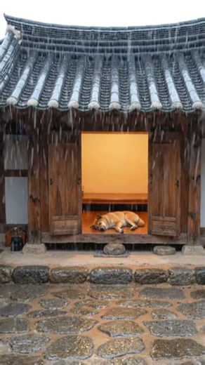 "시원하게내리는 한옥 마당 빗소리" | Relax Sleep Rain(10분 후 검은 화면) – Nurarain sleep