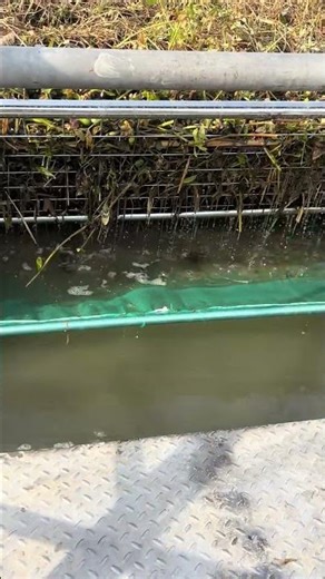 A fish catching and grass clearing machine | Underwater Lawnmowers Fishing ep59