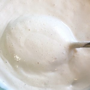 1.6K views · 24 reactions | See the live activity in my homemade cashew curd/yogurt. It’s dairy free, no artificial probiotics. Naturally fermented and so thick and creamy!! Ps: will share the recipe soon!! #cashewyogurt #naturallyfermented #probiotics #guthealth #plantbased #vegan #dairyfree #nisahomey #livebacteria #lactosefree #lactofermentation | Nisa Homey | Facebook