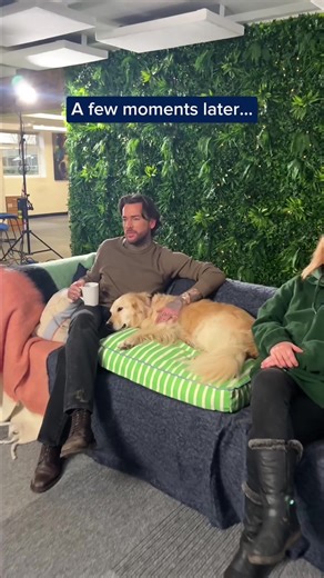 It's drop after drop at the moment... And we're delighted to share, that we have a brand new ambassador on board! But Pete, you're gonna have to get used to sharing the spotlight - dogs are always the main character around here. Come back on Monday to see what went down with Pete & The Pooch Team 👀 #TailsofLove #PeteWicks #DogTreats #ForAllBreedsandNeeds