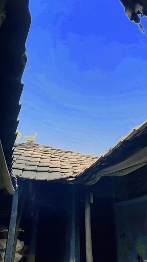 Charming Village Girl Dancing to Popular Hindi Song