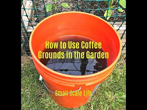 How to Use Coffee Grounds for Plants