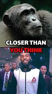 Why A Peak Human vs A Chimpanzee Is Closer Than You Think