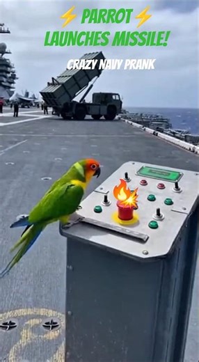 Chaos on an Aircraft Carrier as a Parrot Accidentally Activates the Missile System