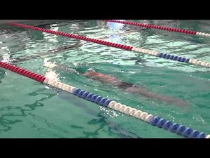 Educatif crawl doigts surface