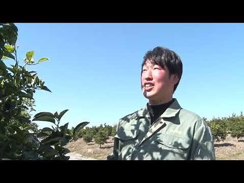 2021八朔の剪定