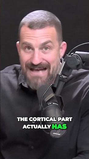 Unlocking the Power of Your Prefrontal Cortex in Exercise