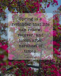 Spring is a reminder…. | Thoughtfultable.com