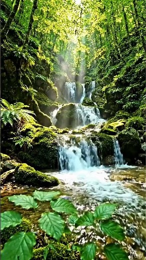 日本の隠れた絶景3選｜青い池・森の渓流・日本海の断崖美