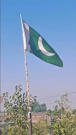 Beautiful Pakistan Flag in the Breeze | Emotional Anthem Background #Shorts