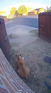 One ordinary day… turned extraordinary. #CCTVVideo #RealScene #FacebookReel #TrendingNow | Made by Future