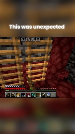 this was unexpected in Minecraft 😲