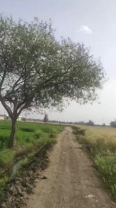 7.5K views · 93 reactions | فررررررررصه ممتازه 11. قيراط وعليهم منزل...