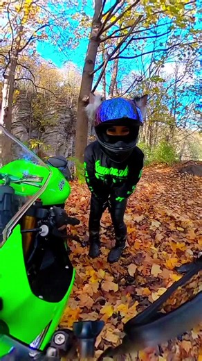 Jsi moje sluníčko, jsi moje nebe, Ty víš, miláčku, že miluju jen Tebe! @Mrs.FERDÖS 💚 #kawasakininja #kawasakizx6r #FERDÖS #MRSFËRDOS #love #motocouple #ninja636❤️ #636 #supersport #kawasakininja636 #ninja636zx6r #biker #bikergirl #crazyboy #crazygirls #Kawasaki #motolove #motorcycle