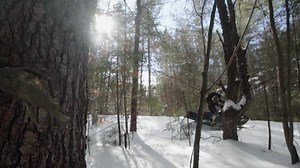 31 reactions | It's Snowvember. Get ready to strike white gold at Northeast Snowmobile & ATV Rentals. | Polaris Adventures | Facebook