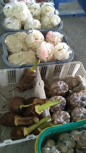 Part 28de - Wisata ke Nepal Van Java (2/2/2022) #Latepost #nepalvanjava #Magelang #Jateng #Jawa